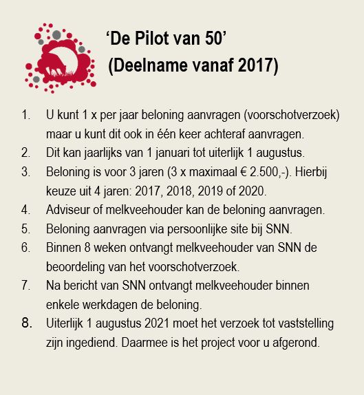 puntsgewijs beloning groep pilot 50